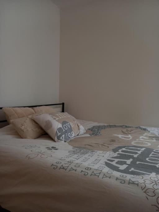 Le Doubs Cosy Appartement Besançon Buitenkant foto