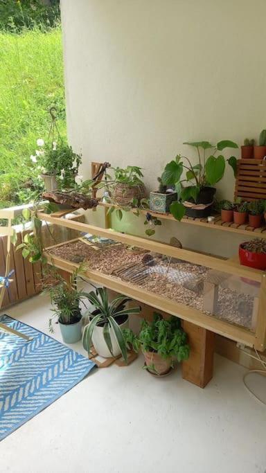 Le Doubs Cosy Appartement Besançon Buitenkant foto