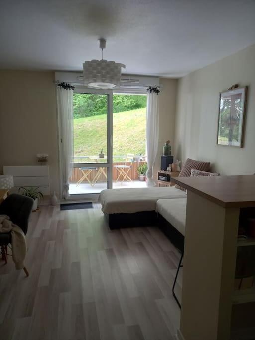 Le Doubs Cosy Appartement Besançon Buitenkant foto