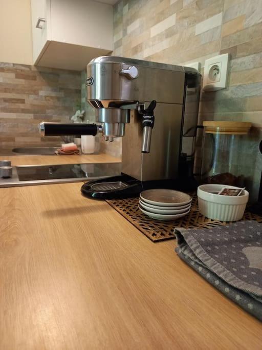 Le Doubs Cosy Appartement Besançon Buitenkant foto
